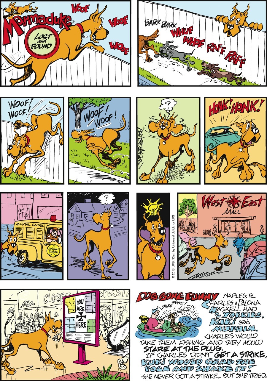 marmaduke
